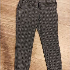 Express Columnist ankle pant